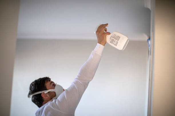 Best Health and Safety Mold Remediation in Copper Canyon, TX
