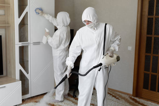 Best Residential Mold Remediation in Copper Canyon, TX