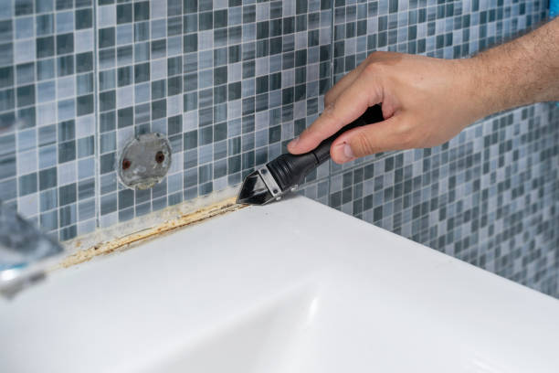 Professional Mold Remediation in Copper Canyon, TX