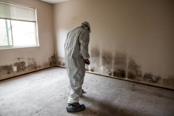 Best HVAC Mold Remediation in Copper Canyon, TX