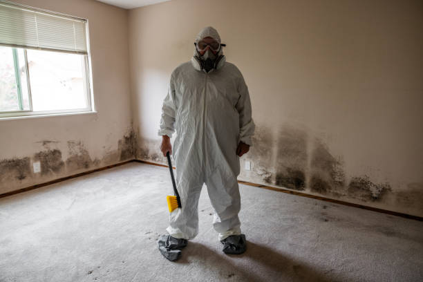 Best Post-Flood Mold Remediation in Copper Canyon, TX