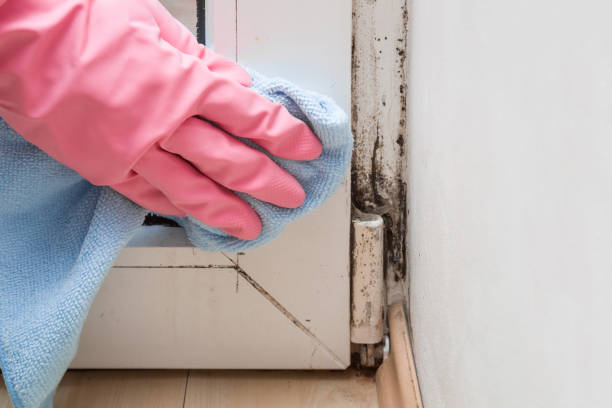 Best Post-Remediation Services in Copper Canyon, TX