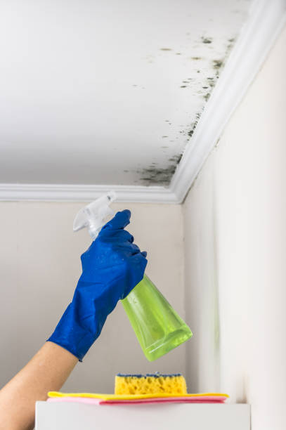 Best Industrial Mold Remediation in Copper Canyon, TX