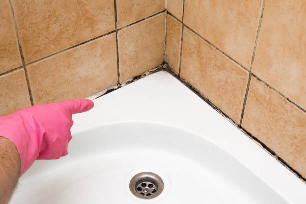 Best DIY Mold Remediation Support Services in Copper Canyon, TX